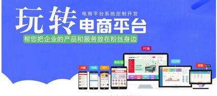 電商平臺軟件開發 電商平臺軟件開發具備哪些功能？