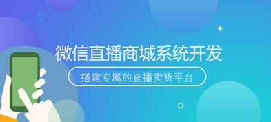 直播商城系統怎么開發？有哪些直播商城系統開發方法